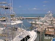 Islamorada Key WebCams