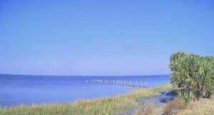 St. Marks Lighthouse Webcam