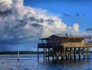 Bayonet Point Webcam