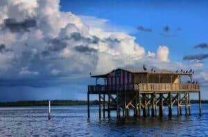 Bayonet Point Webcam