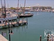 Key West Bight Marina Cam