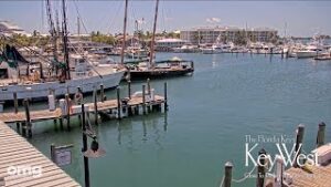 Key West Bight Marina Cam