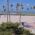 Marathon Key Webcam Florida