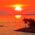 key west webcams live